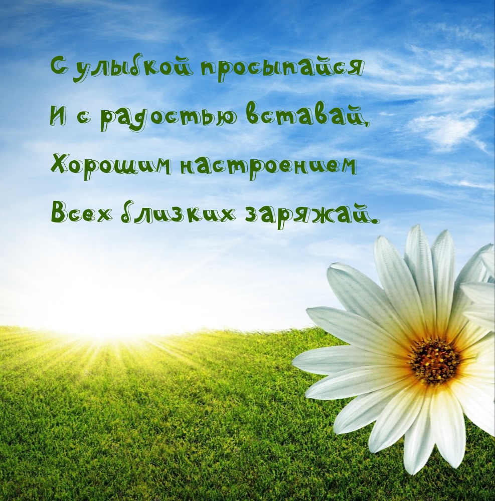 ��������: � ������� ���������� � � �������� �������