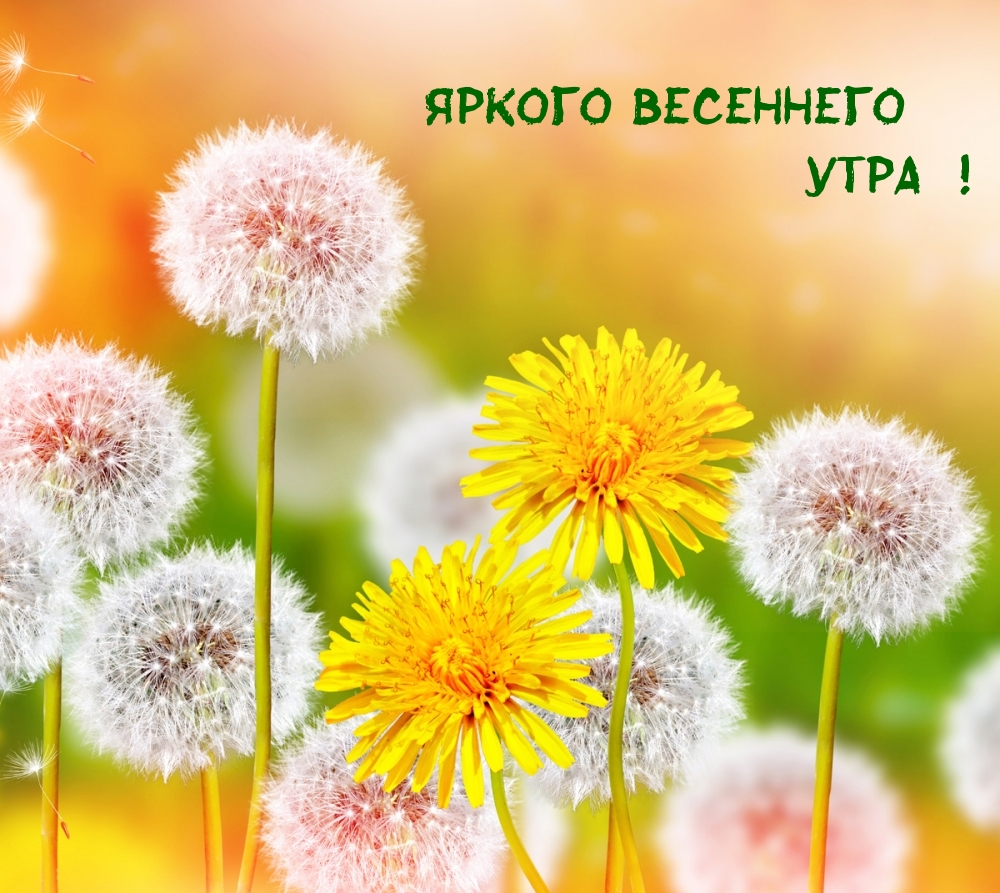 ��������: ������ ��������� ����!