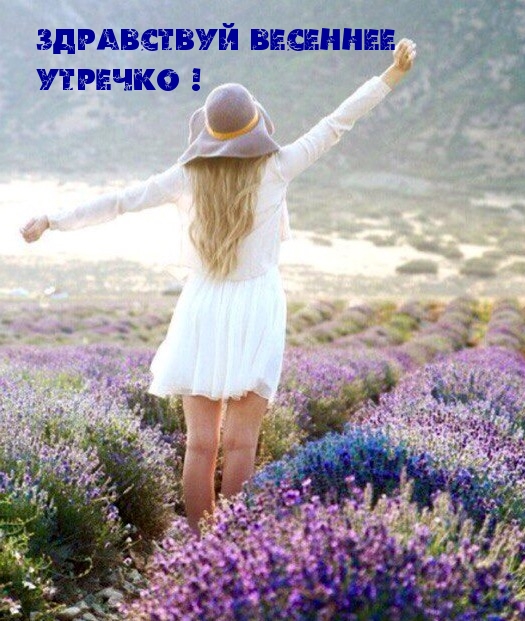 Картинка: Здравствуй весеннее утречко!