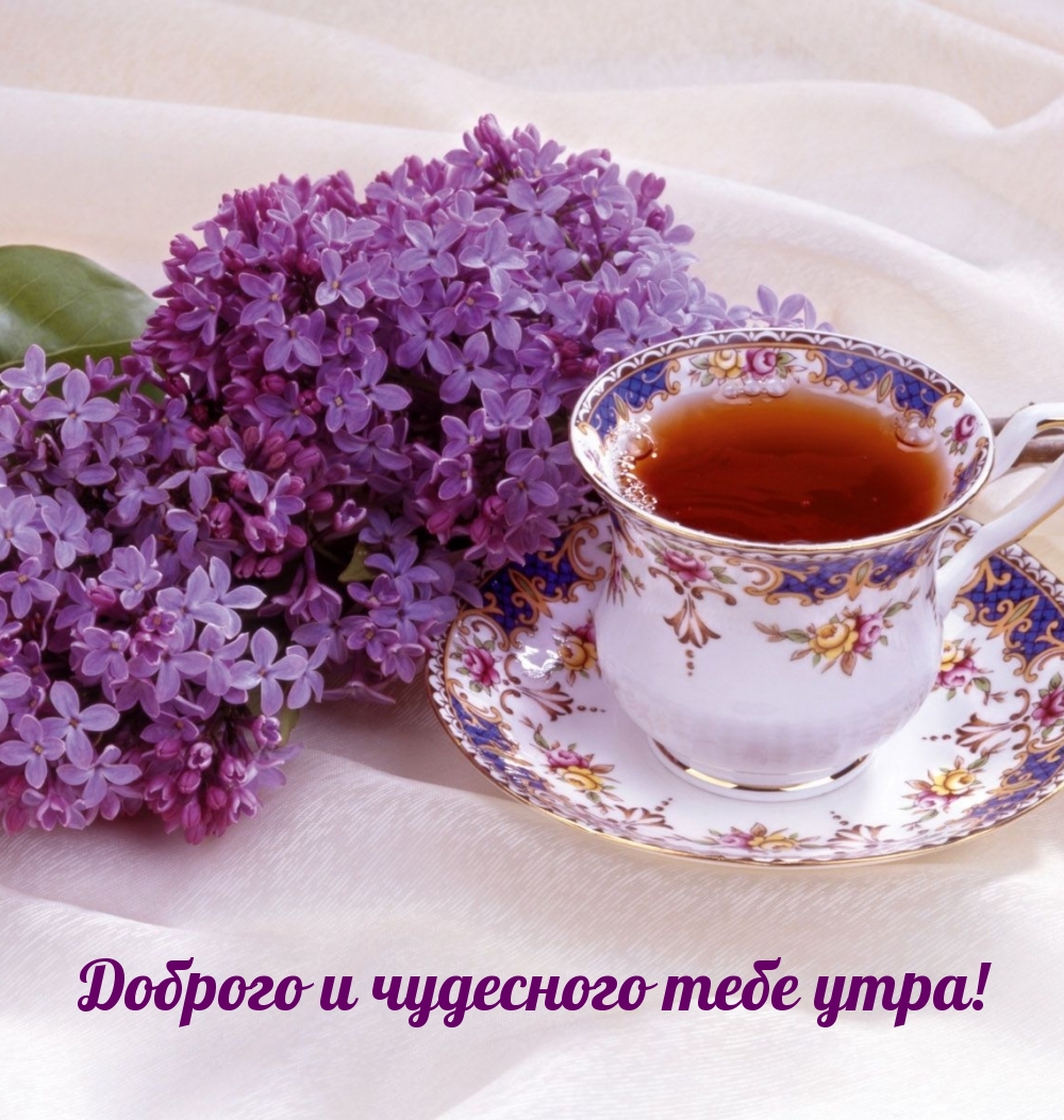 Картинка: Доброго и чудесного тебе утра!