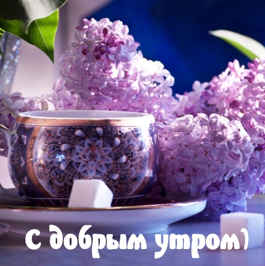 Картинка: С добрым утром)