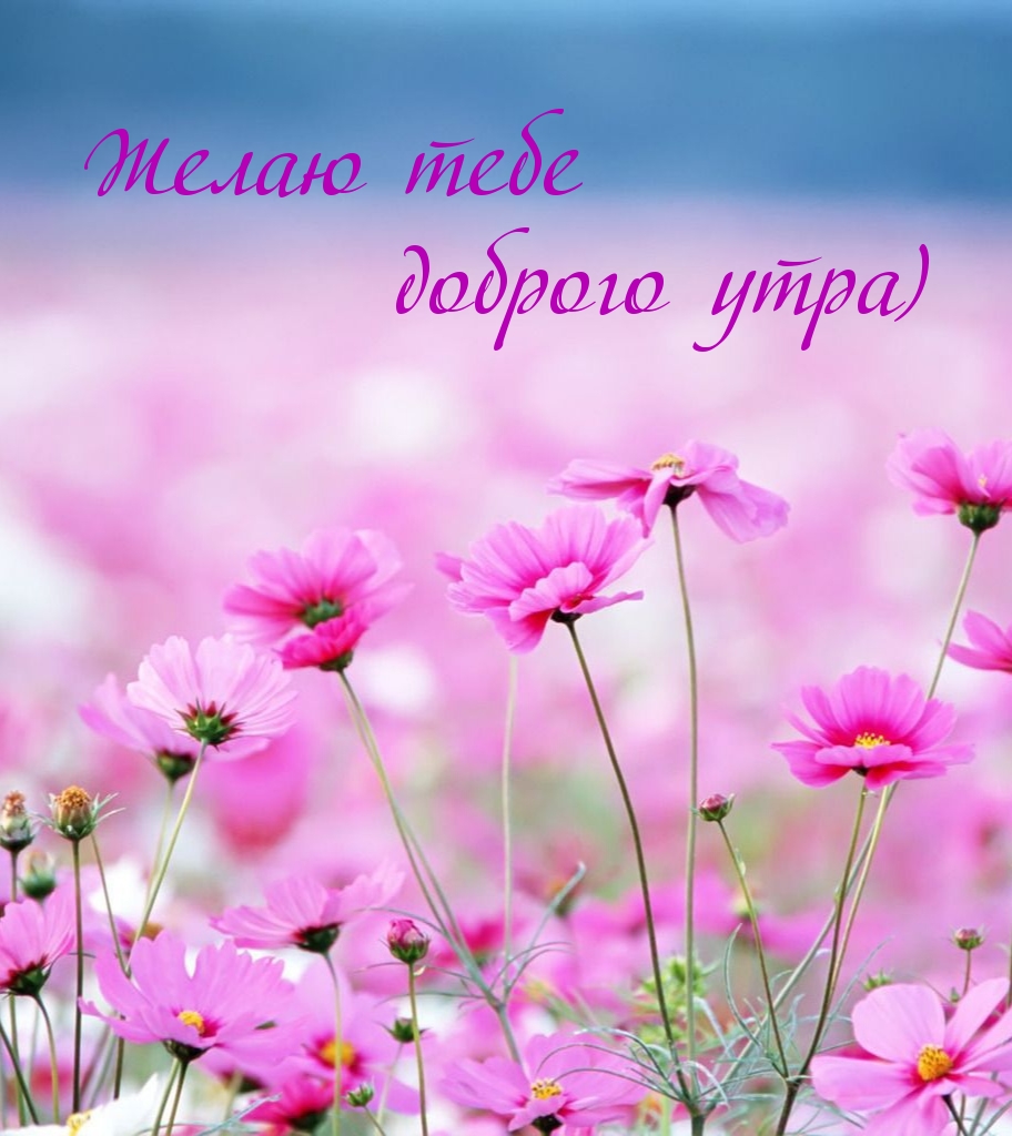 Картинка: Желаю тебе доброго утра)
