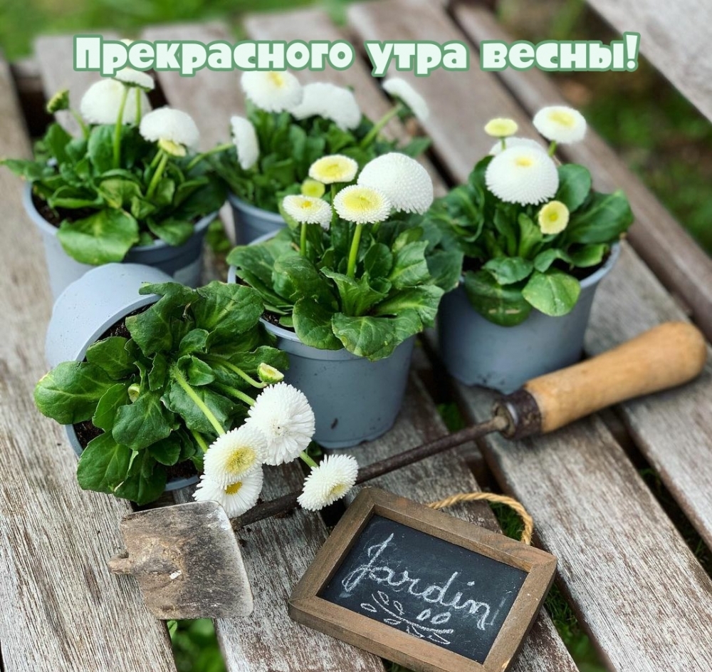 ��������: ����������� ���� �����!