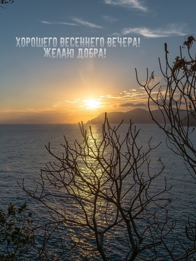 Картинка: Хорошего весеннего вечера! Желаю добра!