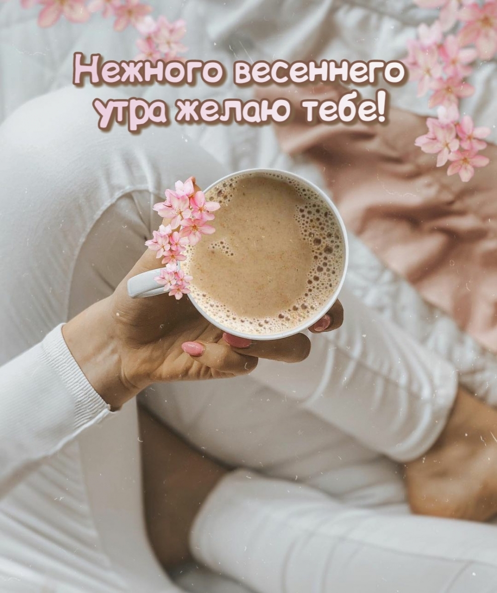 Картинка: Нежного весеннего утра желаю тебе!