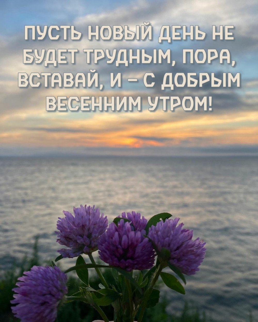 Картинка: Вставай, и — с добрым весенним утром!