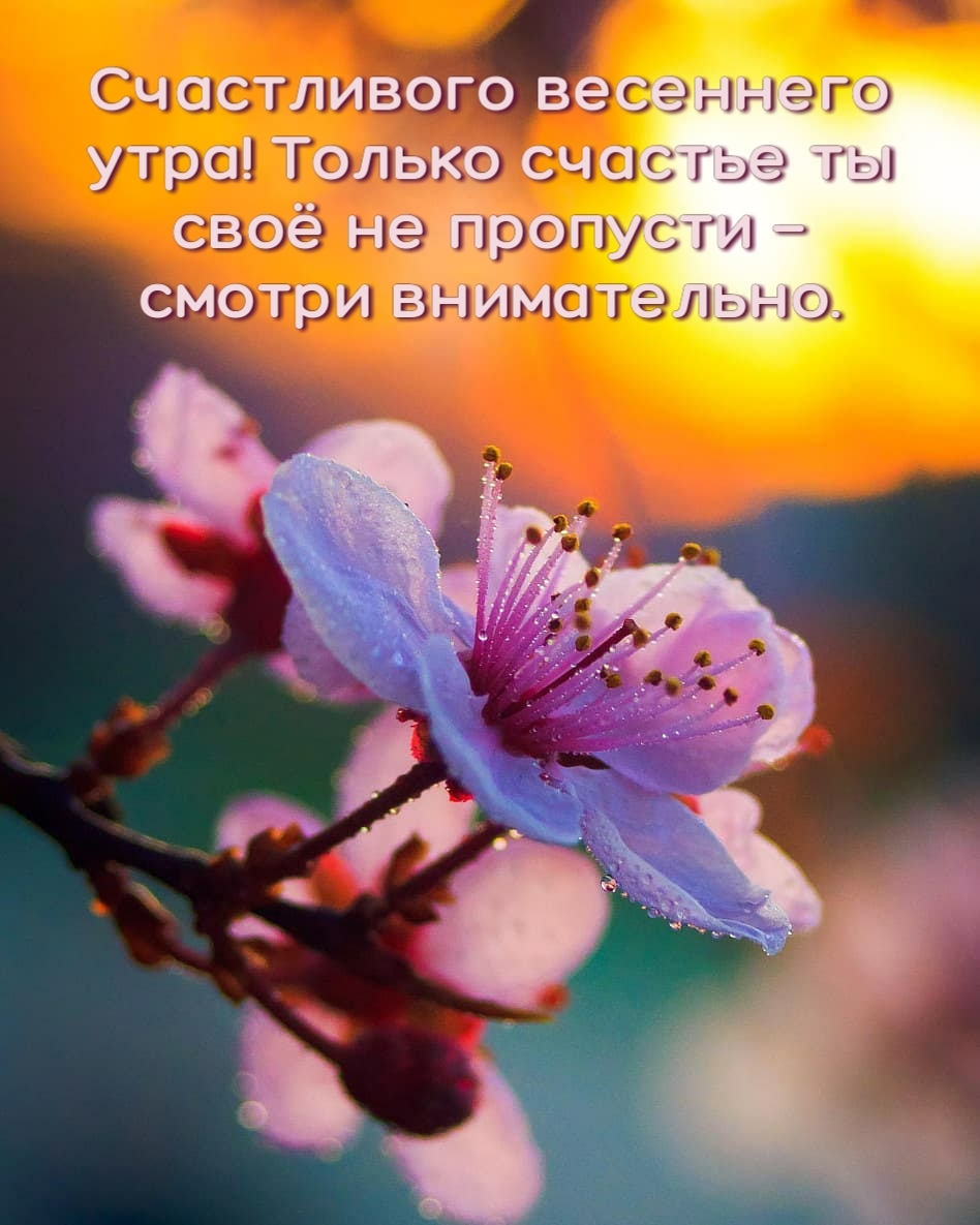 ��������: ����������� ��������� ����! 