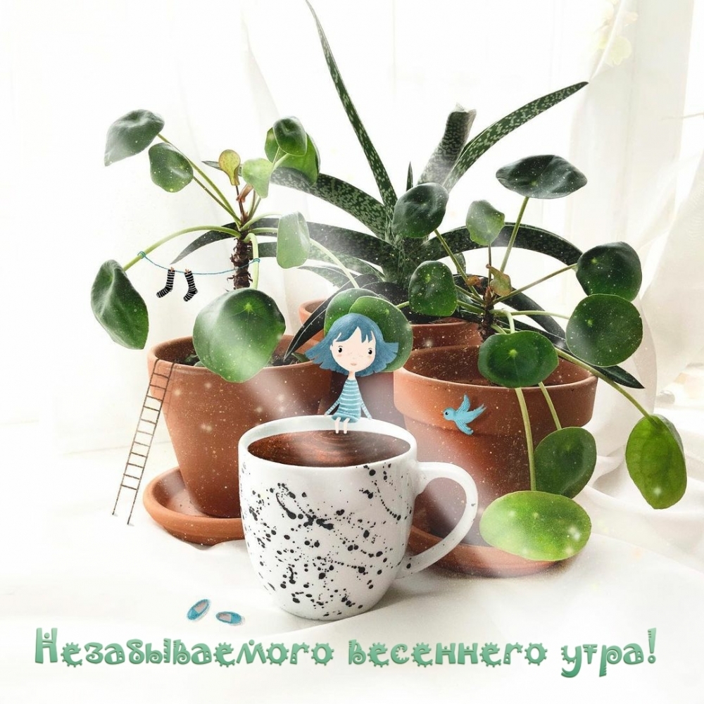 Картинка: Незабываемого весеннего утра!