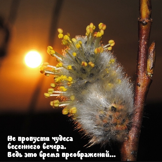 ��������: �� �������� ������ ��������� ������.
