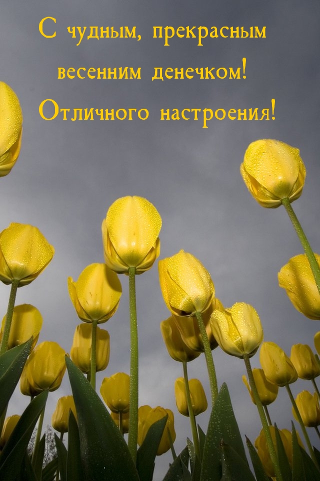 � ������, ���������� �������� ��������!