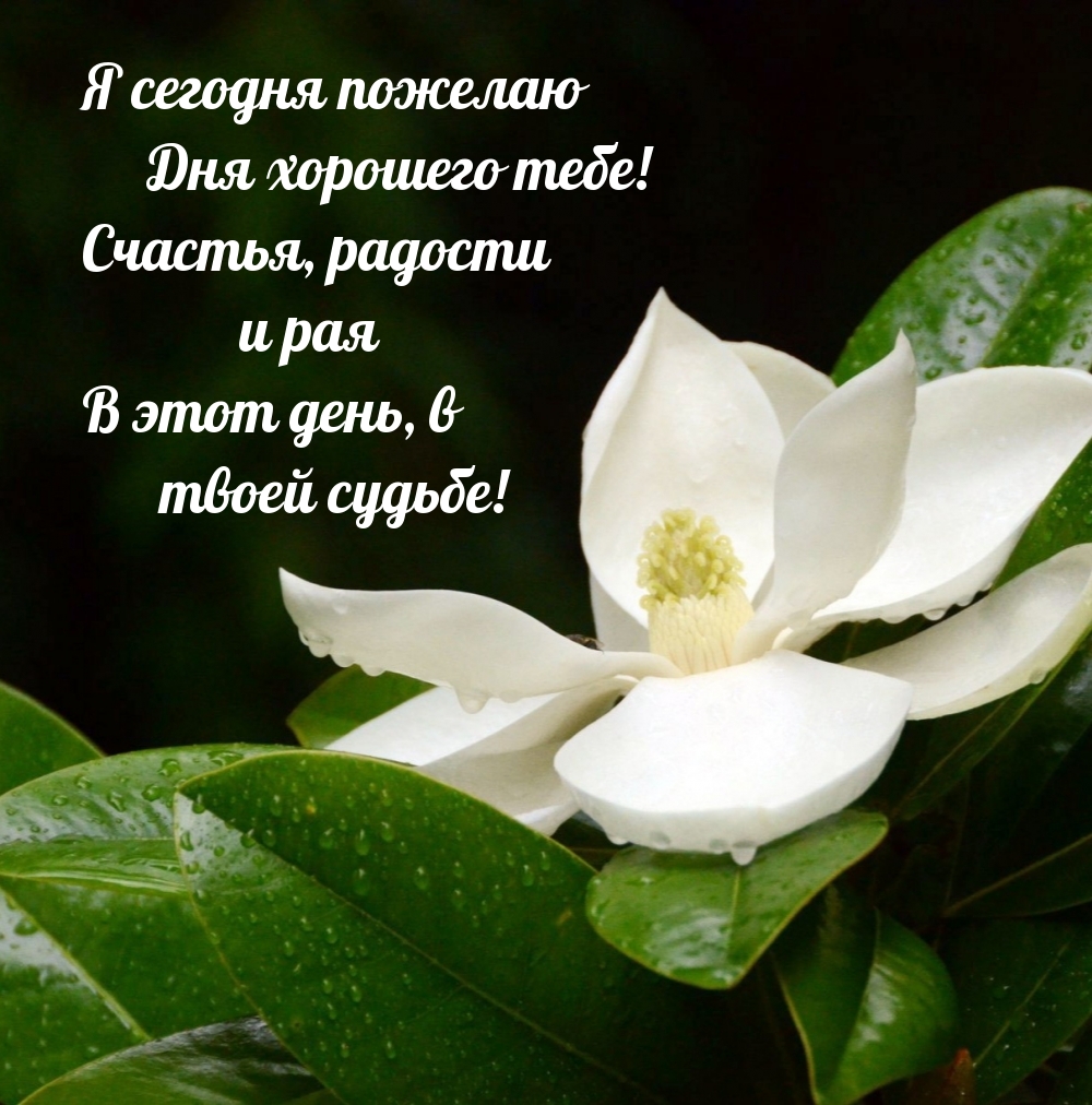 � ������� ������� ��� �������� ����!