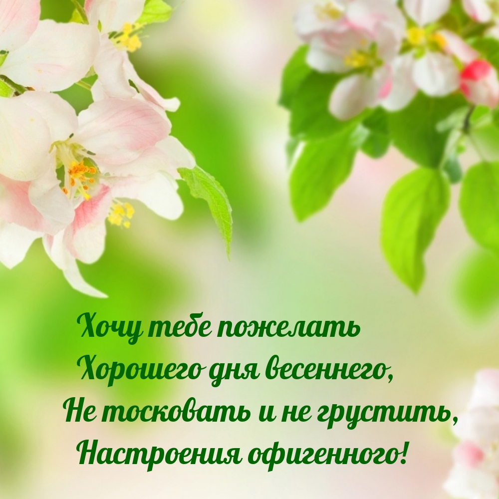 ���� ���� �������� �������� ��� ���������