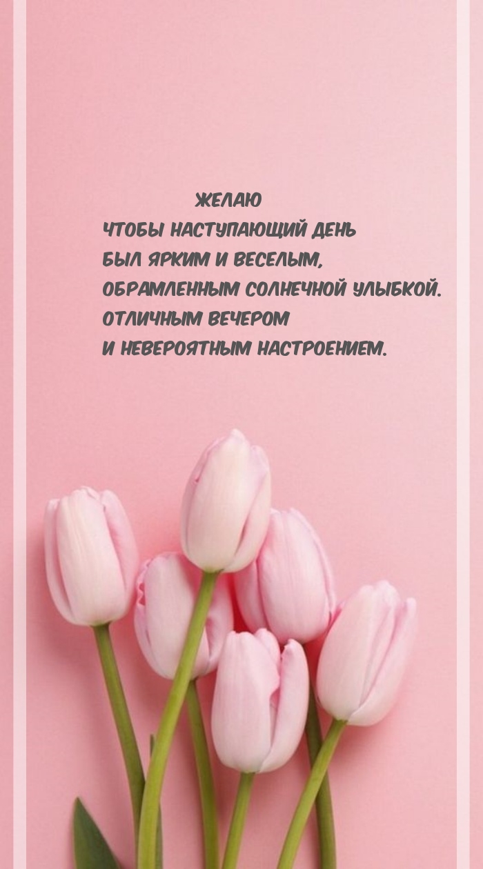 ����� ����� ����������� ���� ��� ����� 