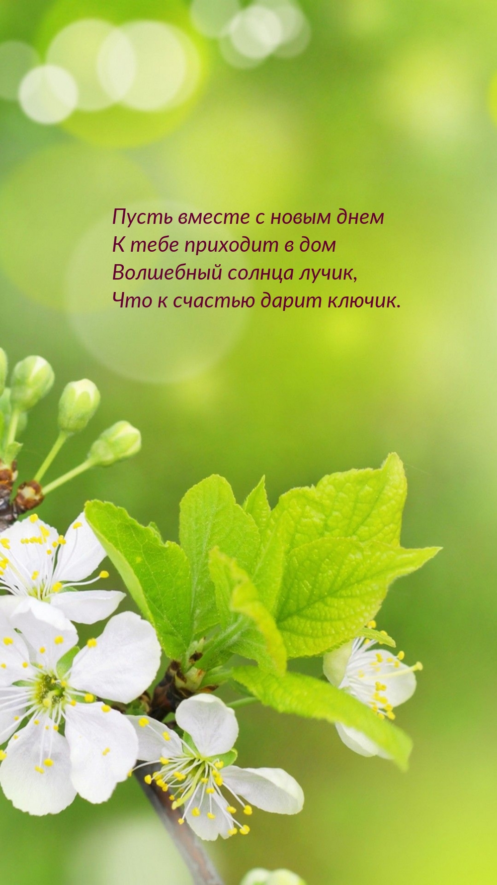 ����� ������ � ����� ���� � ���� �������� ������ �����