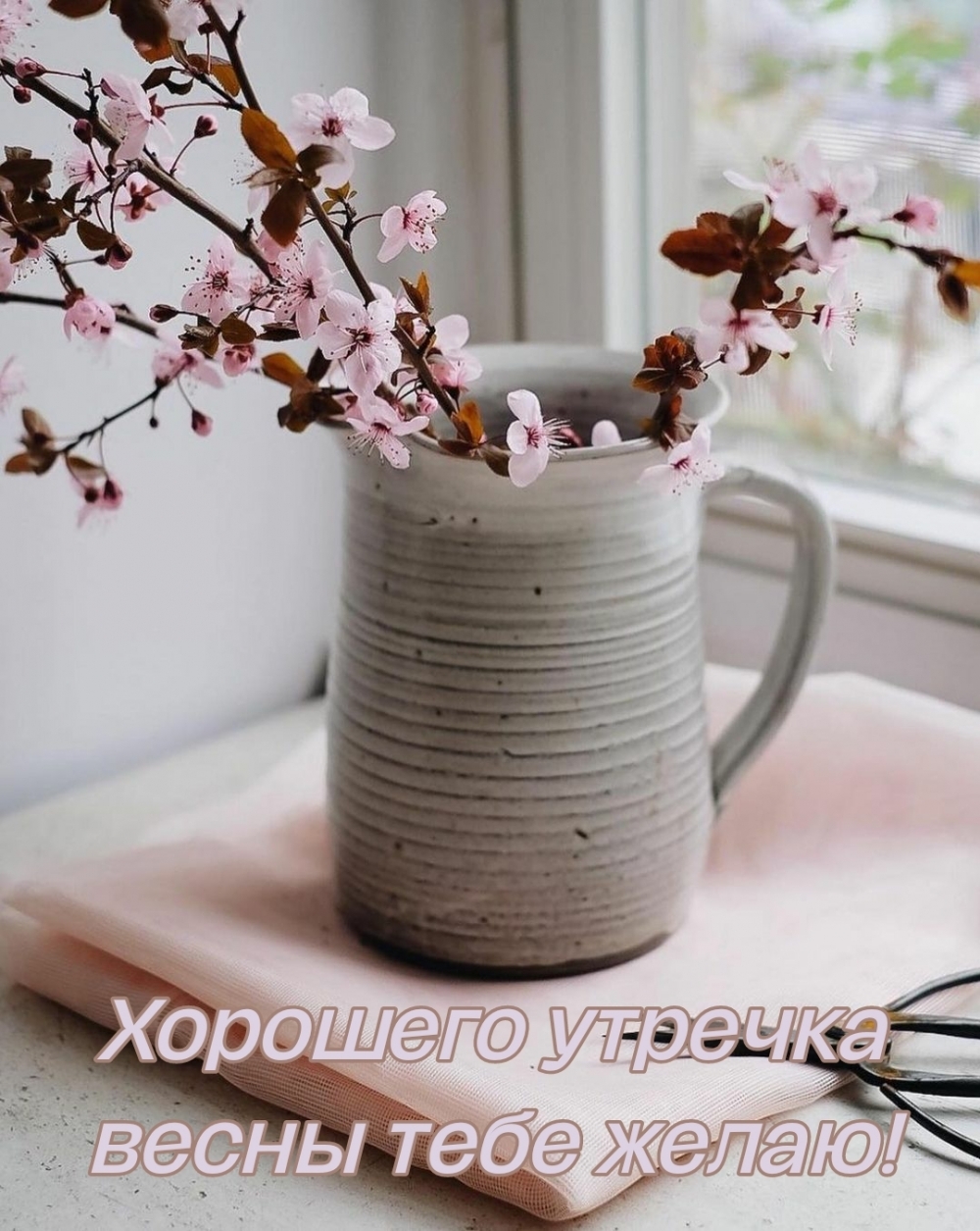 Картинка: Хорошего утречка весны тебе желаю!