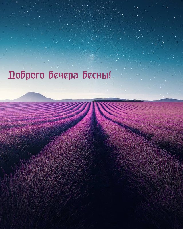 Картинка: Доброго вечера весны!