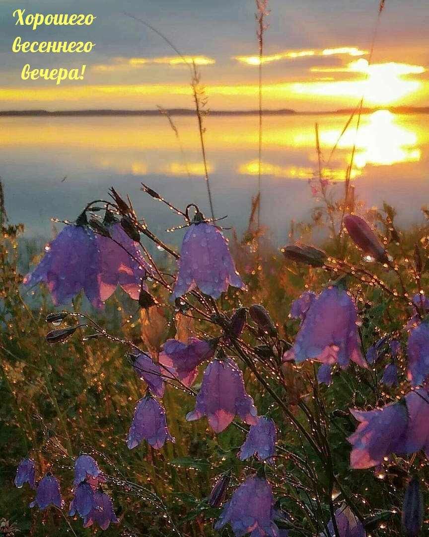 Картинка: Хорошего весеннего вечера!