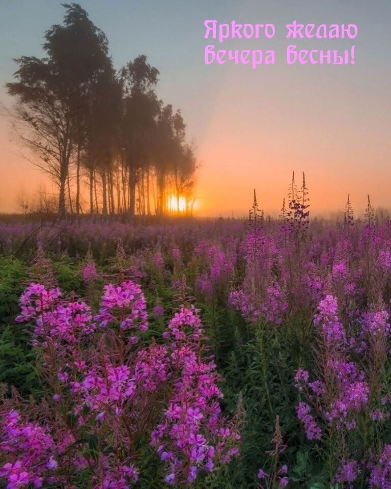 Картинка: Яркого желаю вечера весны!
