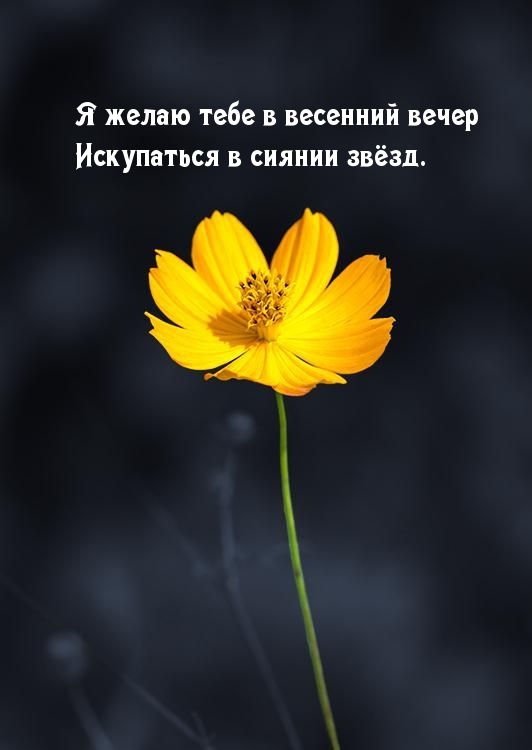 ��������: � ����� ���� � �������� ����� ���������� � ������ ����.