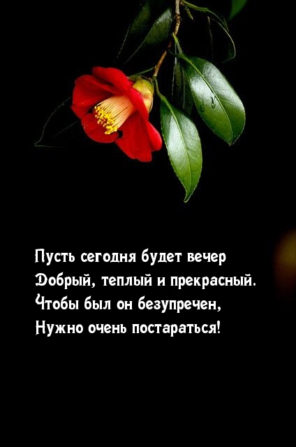 Картинка: Пусть сегодня будет вечер добрый, теплый и прекрасный.