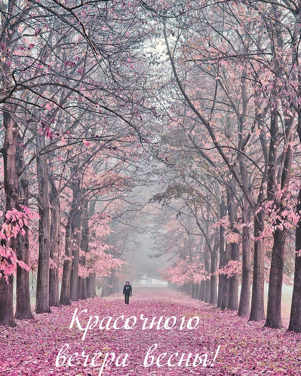 Картинка: Красочного вечера весны!
