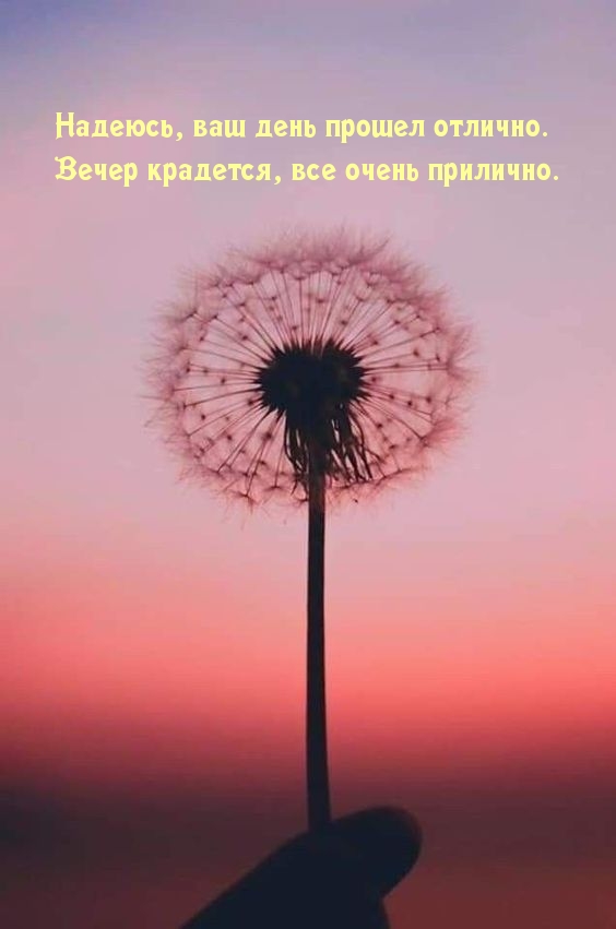 Картинка: Вечер крадется, все очень прилично.
