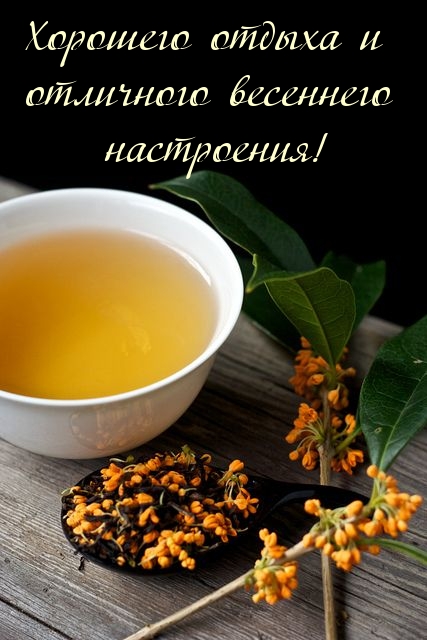 Картинка: Хорошего отдыха и отличного весеннего настроения!