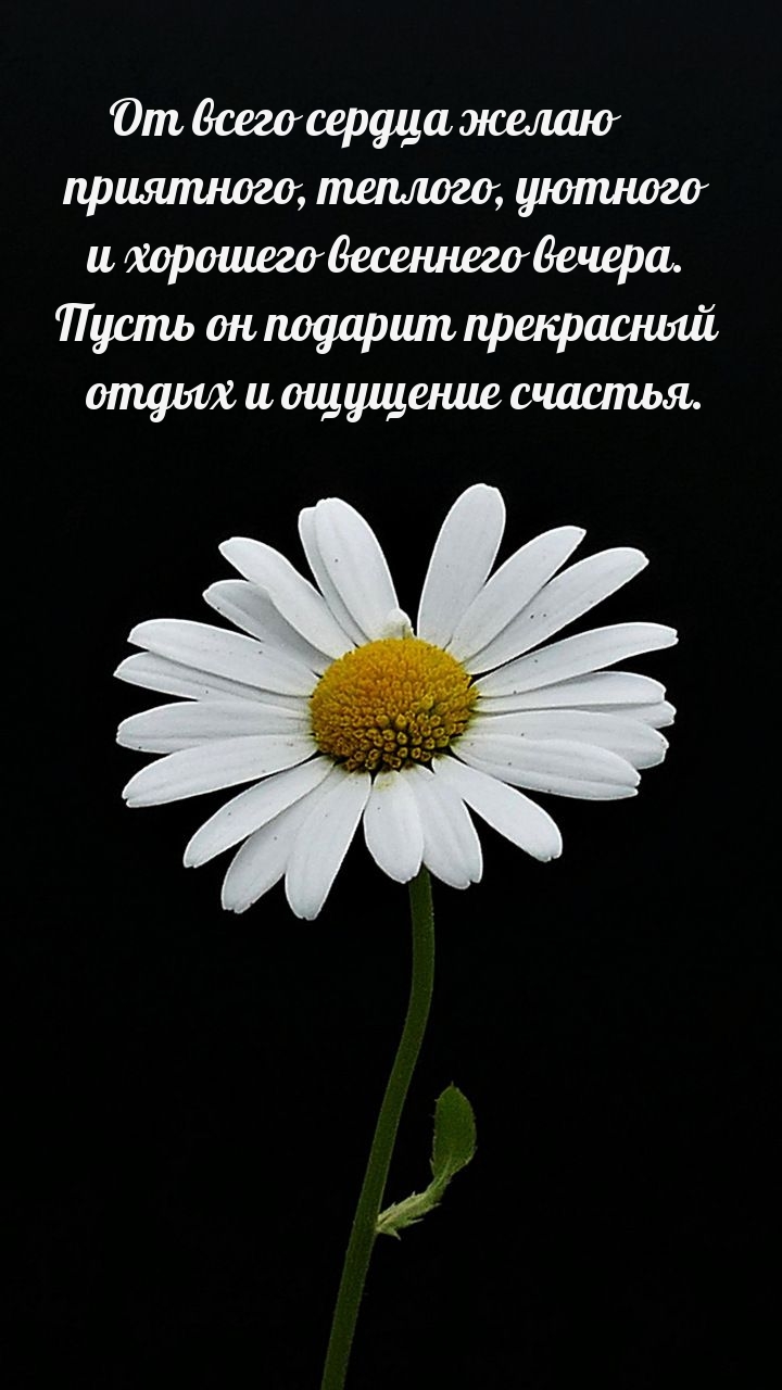 ��������: ����� �������� ����� ������� ���������� �����