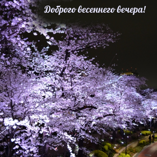 Картинка: Доброго весеннего вечера!