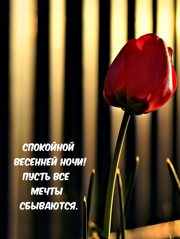 ��������� �������� ����!