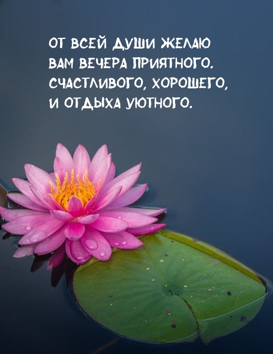 Картинка: От всей души желаю вам вечера приятного, счастливого