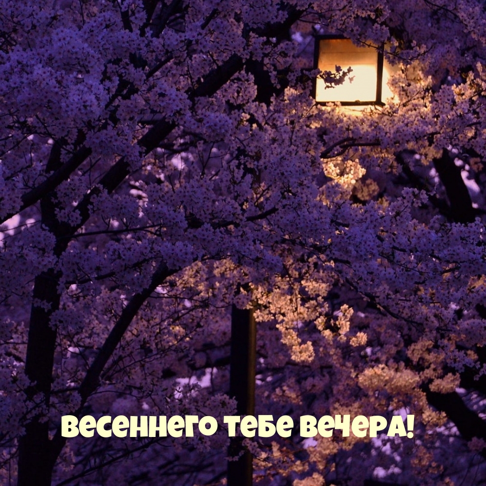 Картинка: Весеннего тебе вечера!