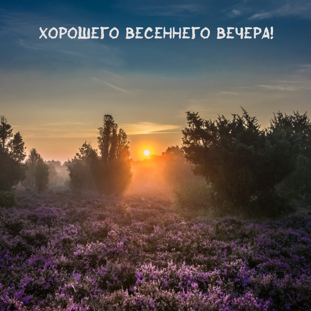 Картинка: Хорошего весеннего вечера!