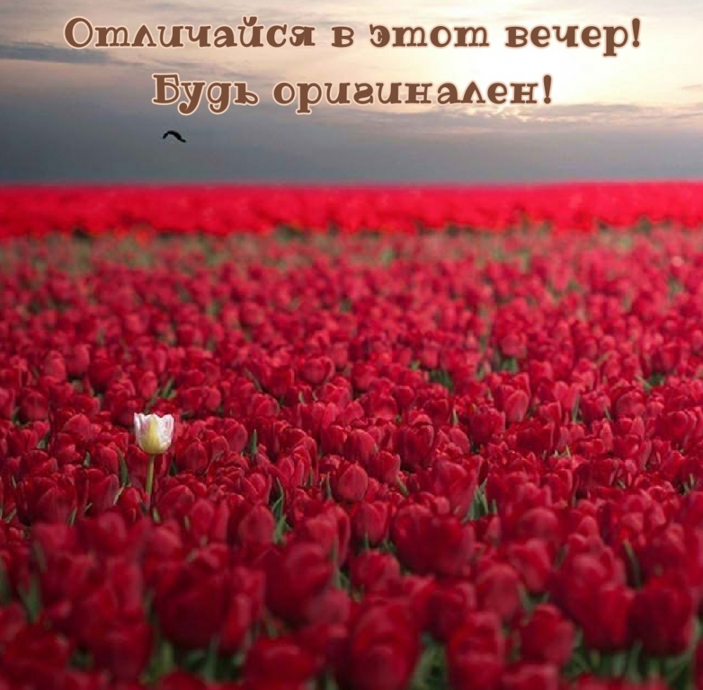 Картинка: Отличайся в этот вечер! Будь оригинален.