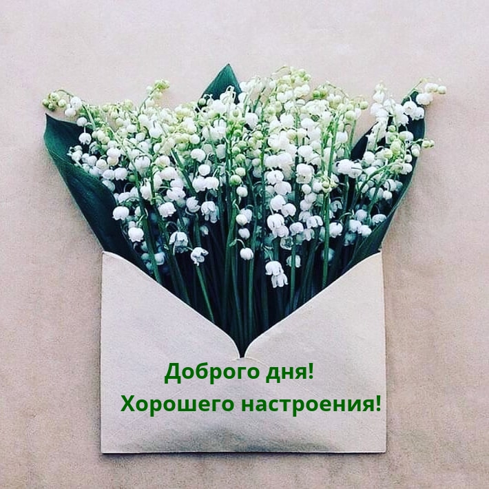 ������� ���! �������� ����������!