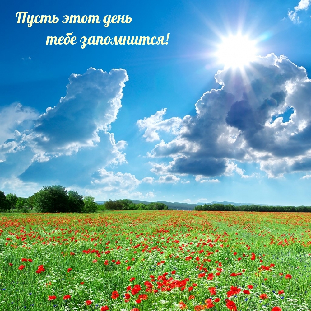 ��������: ����� ���� ���� ���� ����������!