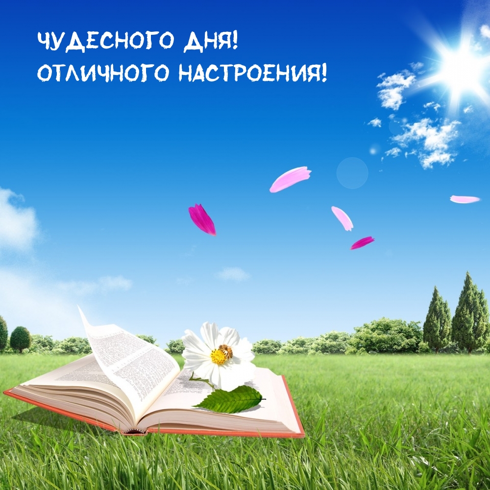 Картинка: Чудесного дня! Отличного настроения!