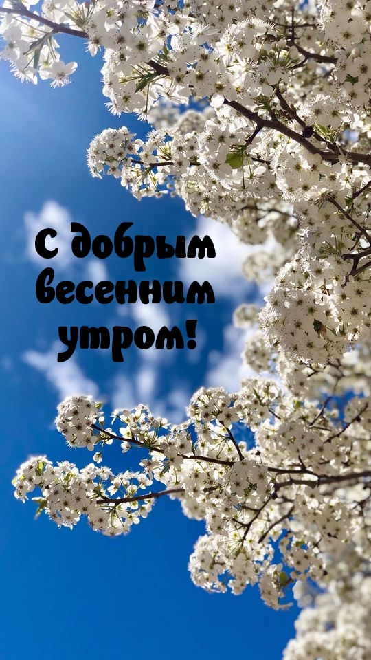 ��������: � ������ �������� �����!