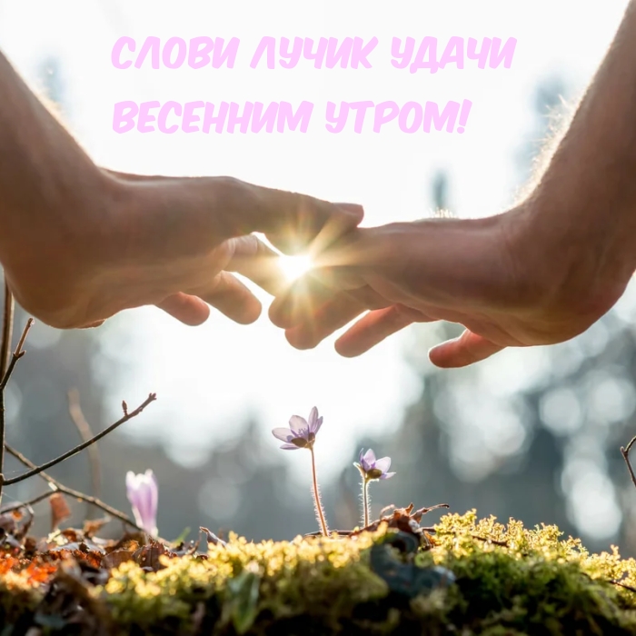 ��������: ����� ����� ����� �������� �����!