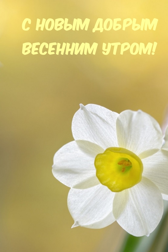 � ����� ������ �������� �����!