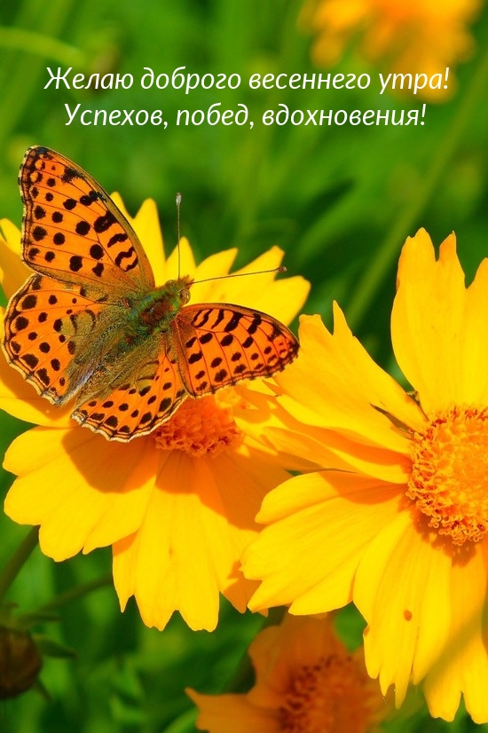 ��������: ����� ������� ��������� ����! �������, �����, �����������!