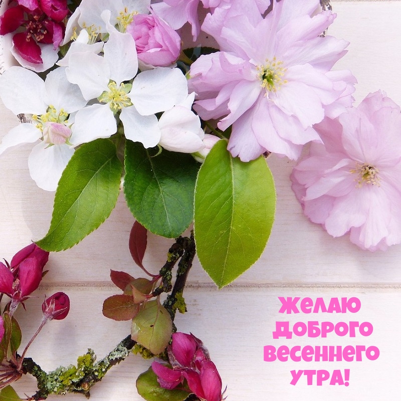 ��������: ����� ������� ��������� ����!