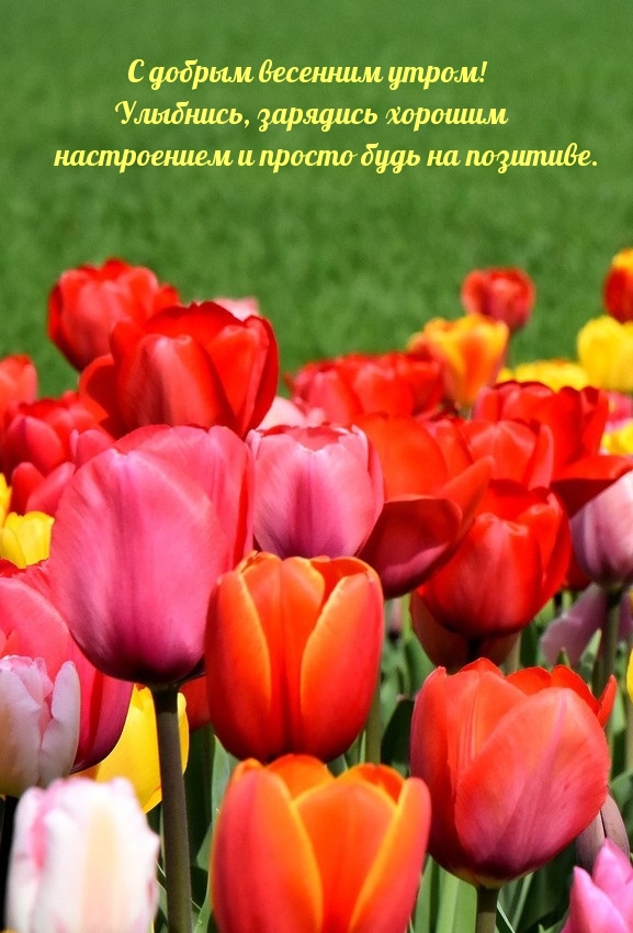 Картинка: С добрым утром! Улыбнись, зарядись хорошим настроением