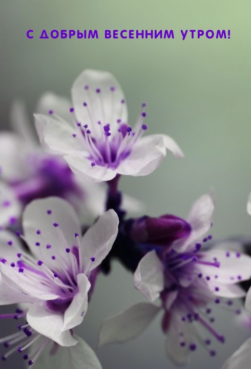 ��������: � ������ �������� �����!