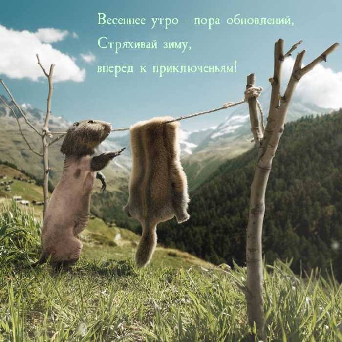 ��������: �������� ���� - ���� ����������