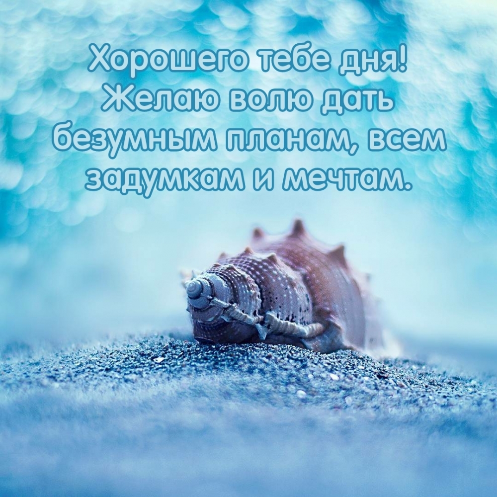 Картинка: Хорошего тебе дня! Желаю волю дать безумным планам