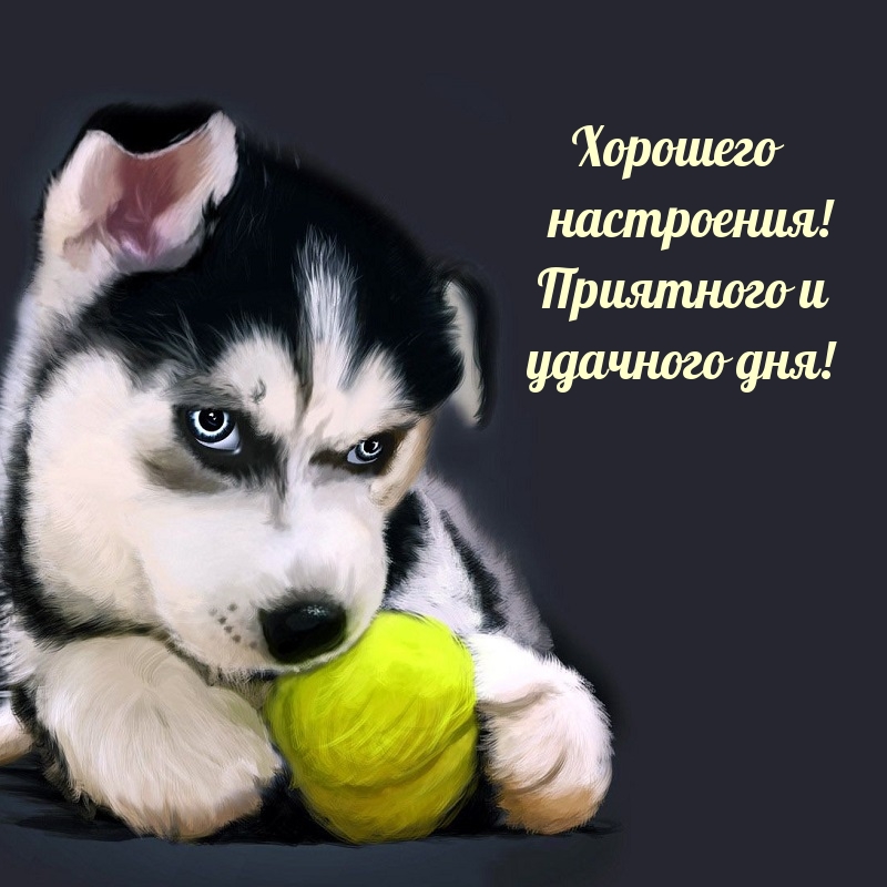 Картинка: Хорошего настроения! Приятного и удачного дня!
