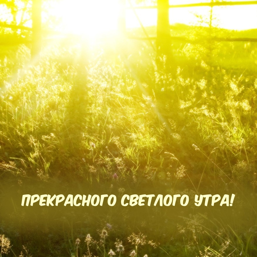 Картинка: Прекрасного светлого утра!