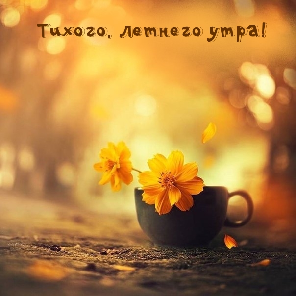 ��������: ������, ������� ����!