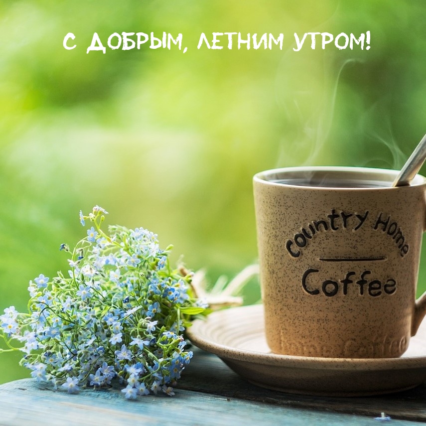 � ������, ������ �����!